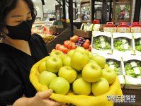 의성 황금사과 시나노 골드 맛보세요