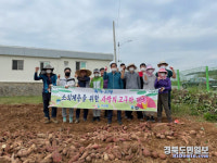 칠곡 기산면, 소외계층을 위한 사랑의 고구마 수확