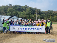 구미시농업기술센터·농협 농촌일손돕기 실시