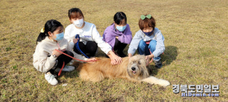 영천 대창초 삽살개와 함께 생명존중 배워요