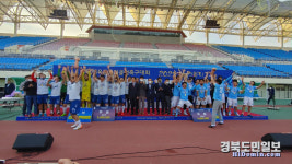 칠곡왜관푸르너스FC, 동호인클럽 축구대회 경북리그 우승
