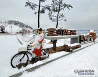 영천 九景·九色, 작품이 되다