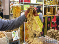 영주시, 풍기인삼 소비촉진 크리스마스 특별이벤트 실시