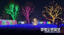 대구 달성군, 사문진역사공원에 크리스마스 테마 감성 포토존 마련