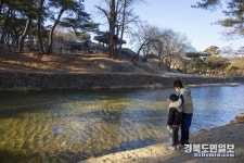 봄의 문턱서 영주 소수서원 둘레길 걸으며 지친 일상 위로 받으세요