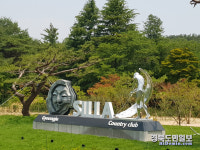 그린 위 벚꽃 향연 경주 신라CC서 황홀한 라운딩