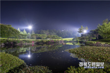 그린 위 벚꽃 향연 경주 신라CC서 황홀한 라운딩