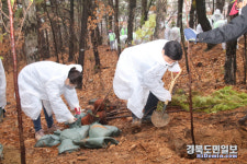 탄소중립 실천 대구 달서구 도시숲 조성 나서