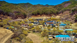 산수유로 물든 봉화 두동마을서 봄의 운치 만끽