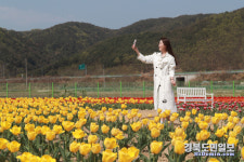 안동포타운에서 직조놀이터 with 작은튤립축제 개최