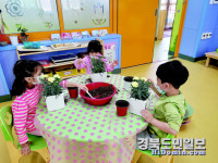 어버이날 카네이션 화분 만들기 활동