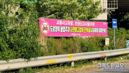 포항  KTX역 주변 불법 주정차 몸살