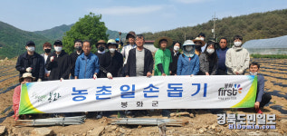 봉화 춘양면, 고추재배농가 일손돕기 구슬땀