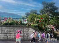 다시 찾은 눈부시게 푸르른 오월, 포항의 봄소풍이 왔다