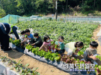내손으로 심고 수확했더니 꿀맛이네요