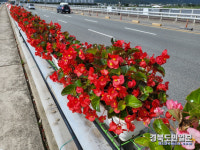 온실에서 키운 꽃으로 포항도심 형형색색으로 물들인다