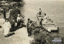 옛사진으로 만난 안동의 그시절 그해 우리는