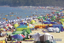포항의 진주 월포바다, 여름 핫스팟으로 뜬다