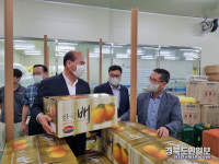 상주원예농협 원황배 印尼 첫 수출길 올라