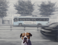 제17회 포항·POSCO 불빛미술대전 수상작 발표