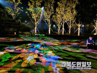 영천 우로지 자연숲으로 밤 산책 오이소~