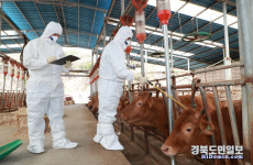 예천군, 하반기 구제역 백신접종반 사전교육