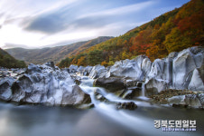 Ảnh kết quả tìm kiếm Naver 6