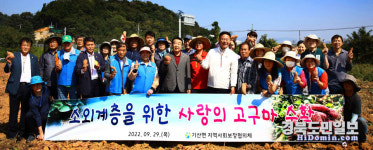 칠곡군 기산면 지역사회보장협의체, 사랑의 고구마 수확