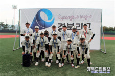 안동시리틀야구단, 경북리그 준우승 쾌거