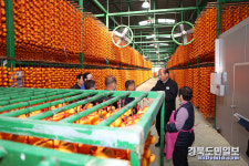 고품질 상주곶감 생산농가 노고에 감사