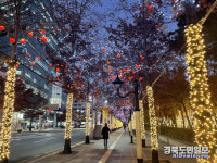 아름다운 빛 가득한 대구서 연말연시 즐기세요