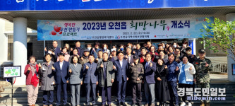포항 오천읍 주민 소원 들어주는 희망나무