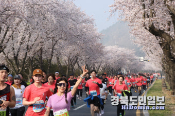 4년만에 열린 경주벚꽃마라톤대회 1만여명 달렸다