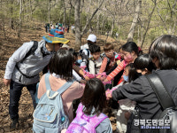 포항 흥해서부초 전교생, 백련산 산행 실시