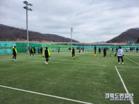 완연한 봄… 안동서 다양한 체육행사 풍성