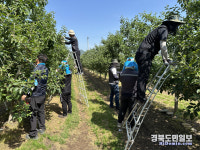 영덕농기센터 농업기술과, 농번기 일손돕기