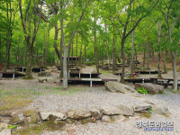 경주 토함산자연휴양림 야영장 개장
