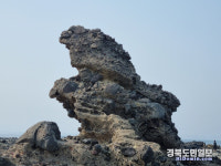 포항 구만리 독수리바위 향토 문화유산 지정