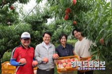 김하수 군수, 청도복숭아 홍보맨으로 나섰다