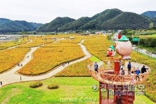 산소카페 청송정원, 관광명소 자리매김