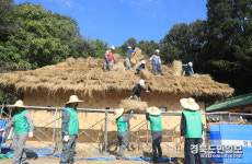 박정희 대통령 초가생가 이엉 잇기