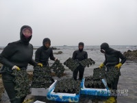 울릉·독도~제주 이어준 해녀 물질 이야기 듣자