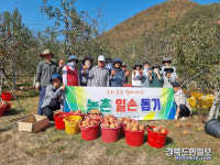 포항시 북구청 세무과,  사과 수확 일손돕기 구슬땀