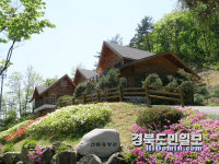 안동 계명산자연휴양림, 애견동반 객실 시범운영