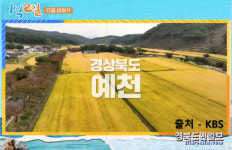 가을 정취 가득 예천 관광지, 1박2일 시즌4 통해 알린다