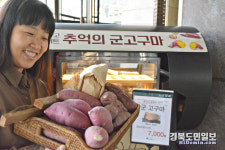 뜨끈한 군 고구마의 계절이 왔어요