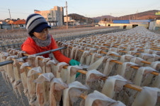 오징어잡이 어업인 최대 3000만원 긴급경영자금