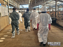 경주 천년한우 농장 21개소, 신규 HACCP 인증 획득