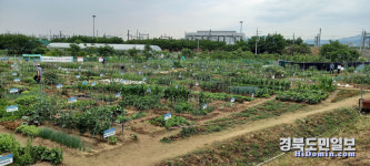 도심속 텃밭 가꾸고 이웃과 소통하세요