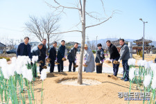 구미 자비사 정신 스님, 신라불교초전지마을에 보리수나무 기증